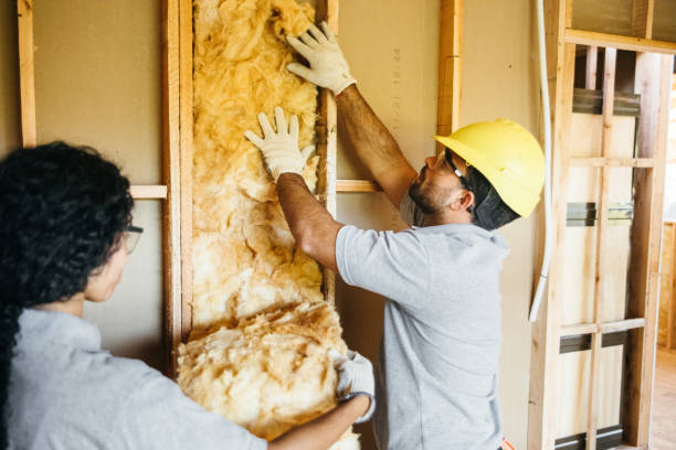 Best Spray Foam Insulation  in Dekal, IL